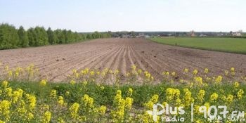 ARiMR zaprasza grupy producenckie. Znamy termin składania wniosków