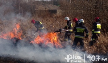 Strażacy ze Skarżyska apelują o niewypalanie traw
