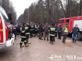 Szukali padłych dzików w gminie Przysucha