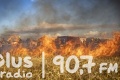 2800 pożarów traw od początku roku