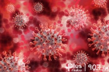 W regionie utrzymuje się niska liczba nowych zakażeń koronawirusem