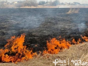 W nocy płonęły trawy w kilku miejscach powiatu radomskiego