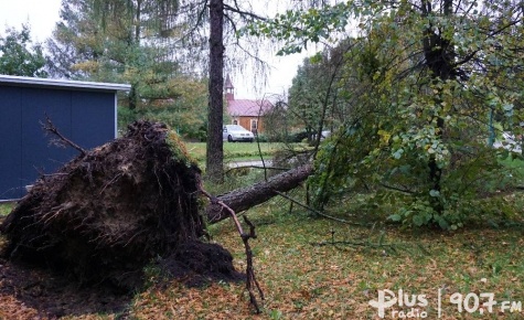 Pokłosie Ksawerego [AKTUALIZACJA]