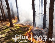 Bilans pożarów lasu w gminie Odrzywół