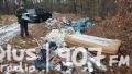 Miliony złotych idą na wywóz śmieci z lasów
