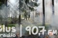 Duży pożar lasu na terenie gminy Odrzywół
