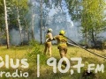 50 strażaków gasiło pożar lasu w gminie Jastrząb