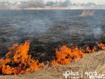 Wypalasz trawy, zapłacisz mandat 30 000 złotych