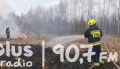 Płonęło prawie trzy hektary lasów i nieużytków rolnych