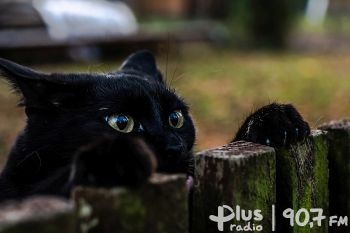 Poznaliśmy najlepsze prace koneckich fotografików