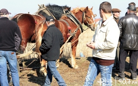 Ks. Zbigniew Niemirski/GN